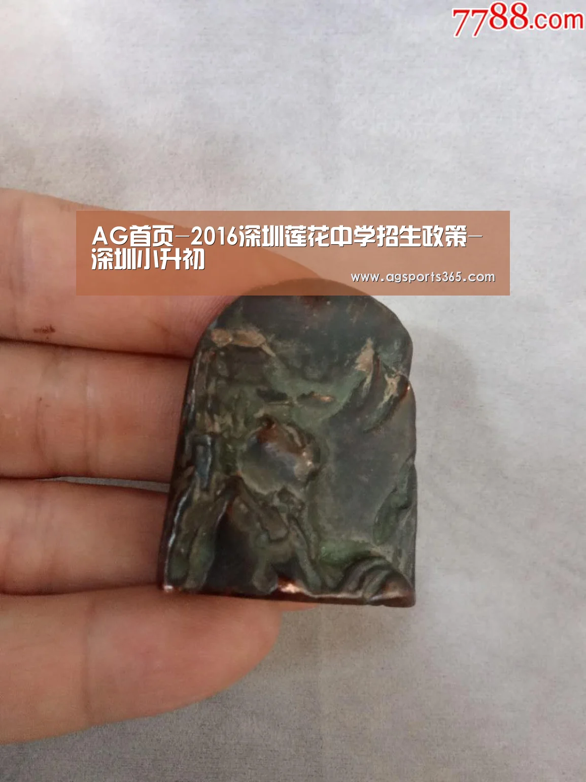 AG首页-2016深圳莲花中学招生政策-深圳小升初(图3) AG访问