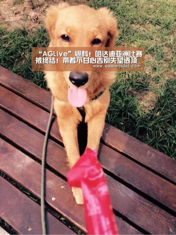“AGLive”爆料!哈达迪亚洲比赛被终结!带着不甘心告别失望透顶(图1) AG首页