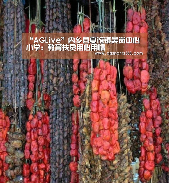 AG首页