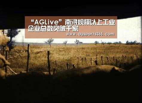 “AGLive”南浔规模以上工业企业总数突破千家(图3)