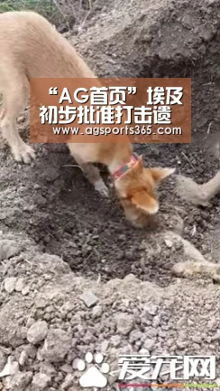 “AG首页”埃及初步批准打击遗传资源非法出口的法律草案(图2) “AG首页”埃及初步批准打击遗传资源非法出口的法律草案(图2)