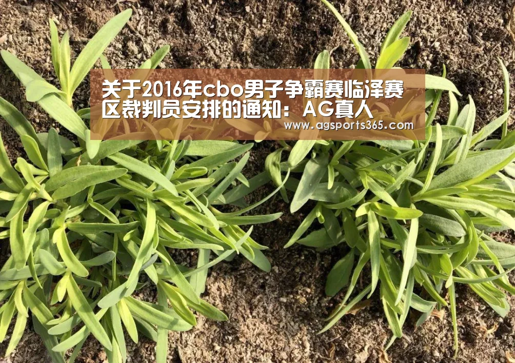 关于2016年cbo男子争霸赛临泽赛区裁判员安排的通知:AG真人(图1) 关于2016年cbo男子争霸赛临泽赛区裁判员安排的通知:AG真人(图1)
