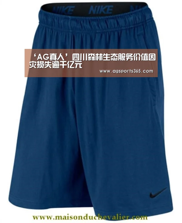 ‘AG真人’四川森林生态服务价值因灾损失逾千亿元(图4) AG访问