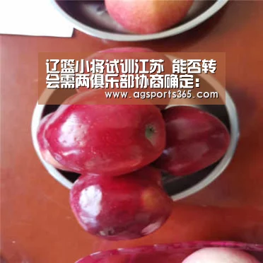 辽篮小将试训江苏 能否转会需两俱乐部协商确定:AG首页(图2) AG访问