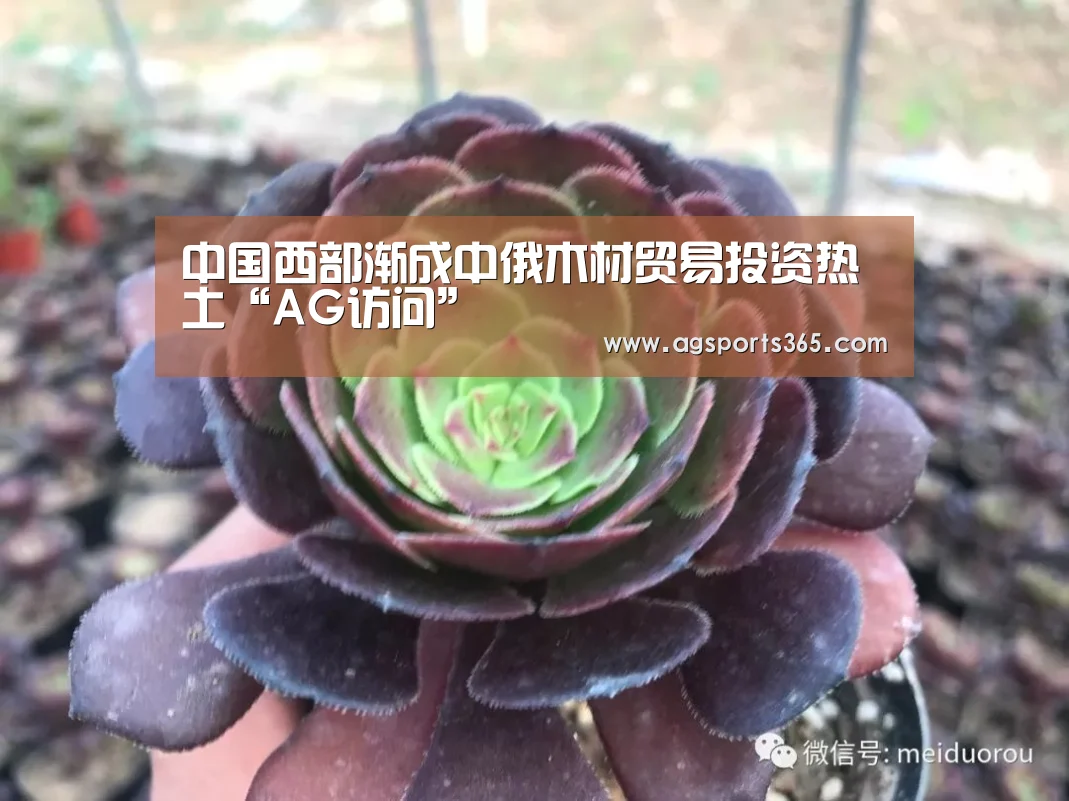 中国西部渐成中俄木材贸易投资热土“AG访问”(图3) AG首页