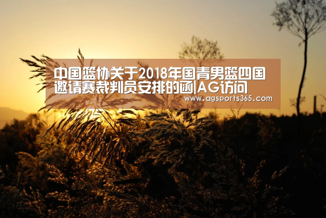 中国篮协关于2018年国青男篮四国邀请赛裁判员安排的函|AG访问(图2) AG真人