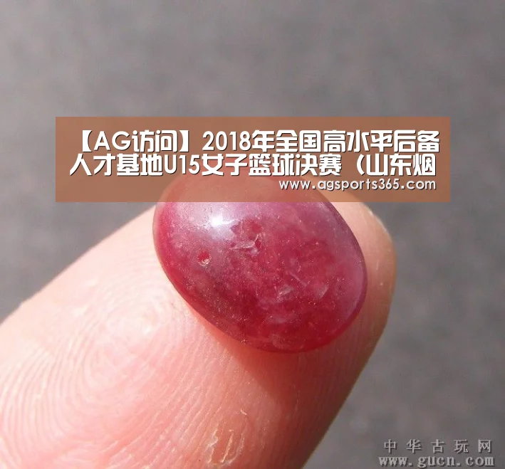【AG访问】2018年全国高水平后备人才基地U15女子篮球决赛(山东烟台赛区)补充函(图3) AG首页