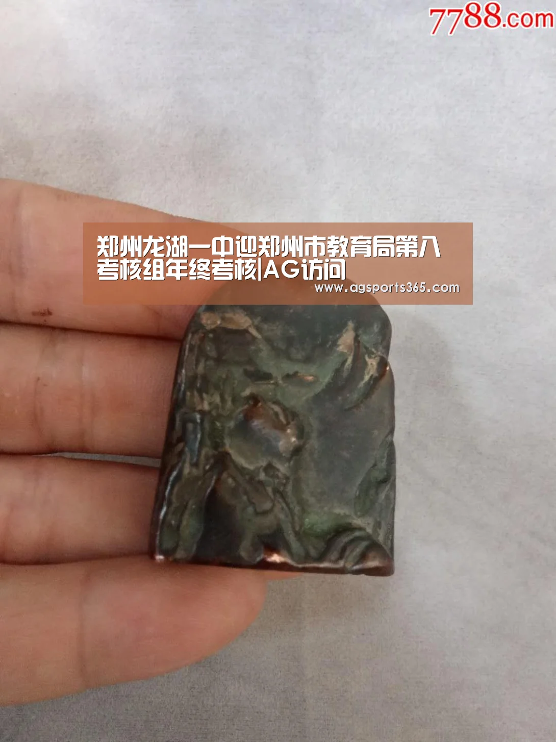 郑州龙湖一中迎郑州市教育局第八考核组年终考核|AG访问(图2) AG访问