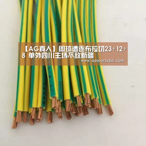 【AG真人】周琦遭逐布拉切23+12+8 单外四川主场不敌新疆(图1) 【AG真人】周琦遭逐布拉切23+12+8 单外四川主场不敌新疆(图1)